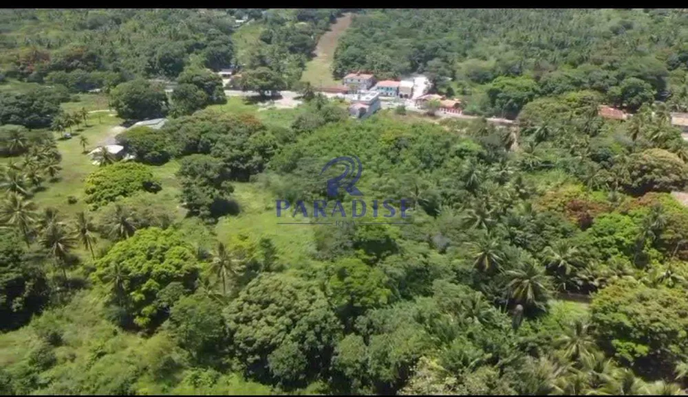 Terreno, 10 hectares - Foto 1
