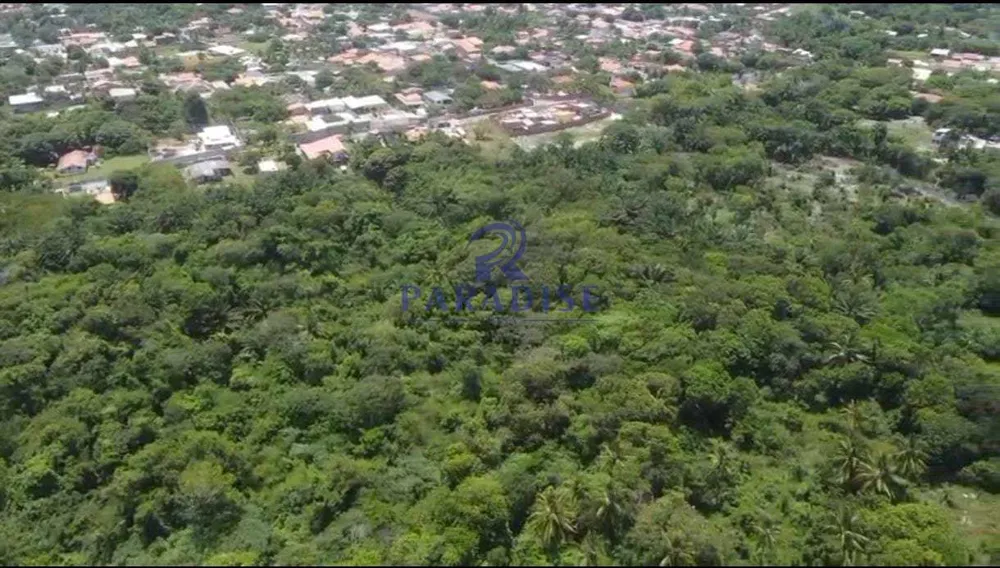 Terreno, 10 hectares - Foto 11