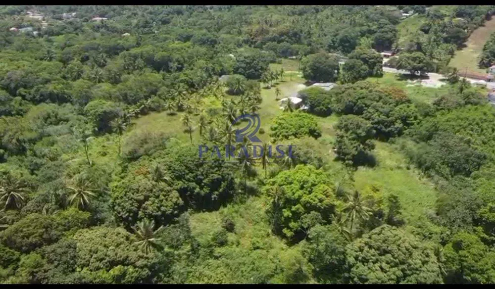 Terreno, 10 hectares - Foto 3