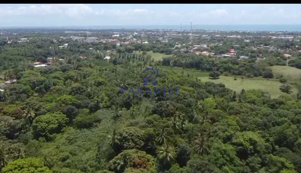 Terreno, 10 hectares - Foto 6