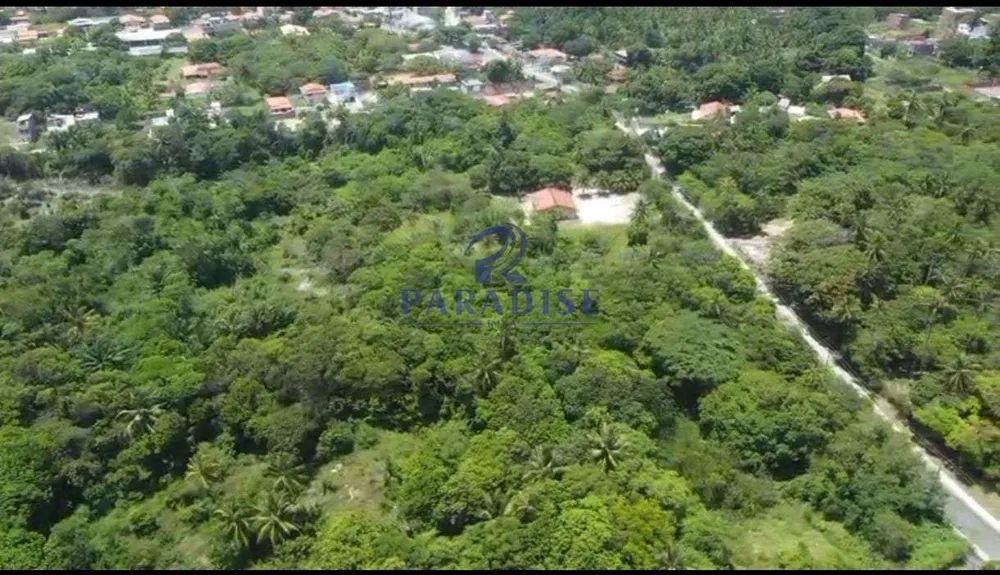Terreno, 10 hectares - Foto 2