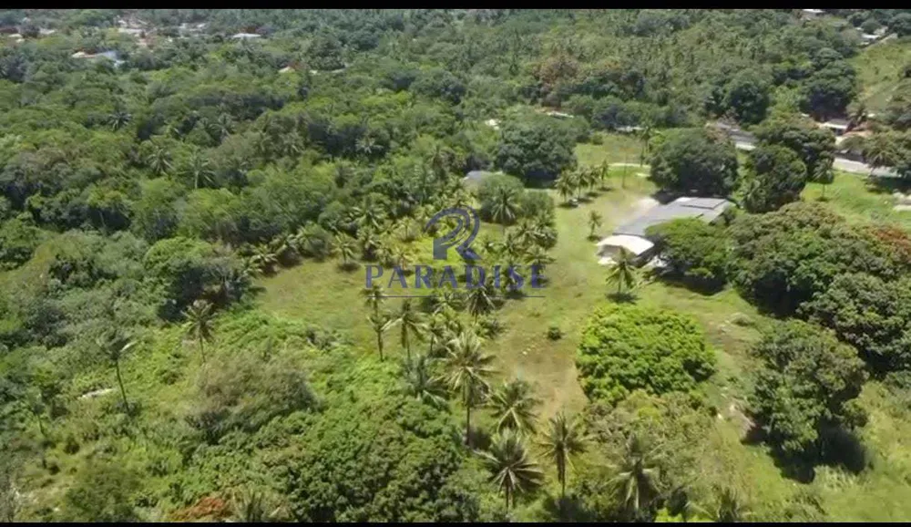 Terreno, 10 hectares - Foto 12
