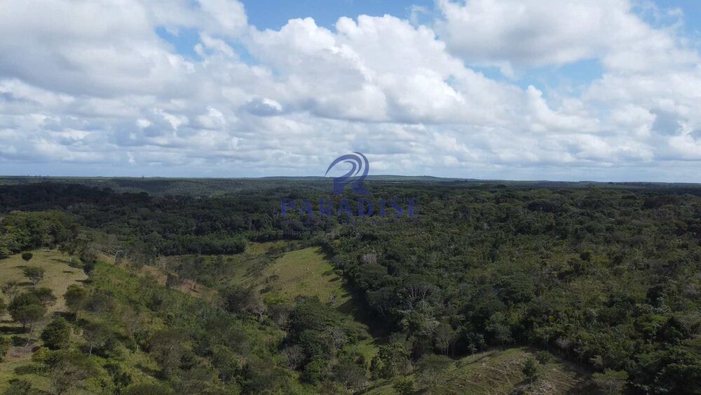 Fazenda, 16 hectares - Foto 4