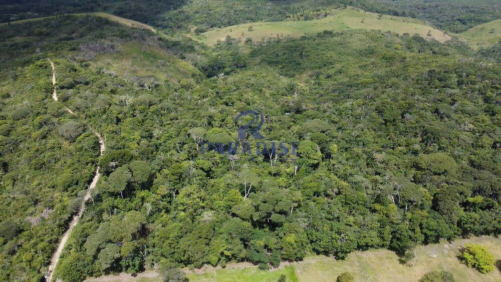 Fazenda, 16 hectares - Foto 9
