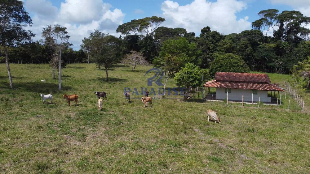 Fazenda, 16 hectares - Foto 14