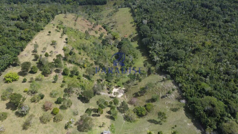 Fazenda, 16 hectares - Foto 11