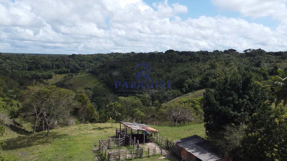 Fazenda, 16 hectares - Foto 17