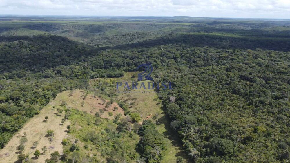 Fazenda, 16 hectares - Foto 7