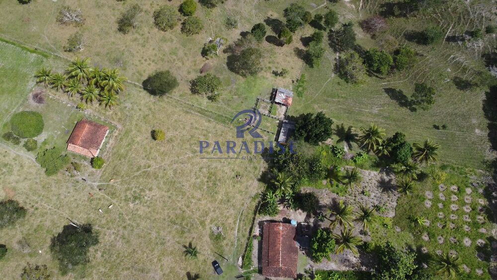 Fazenda, 16 hectares - Foto 3