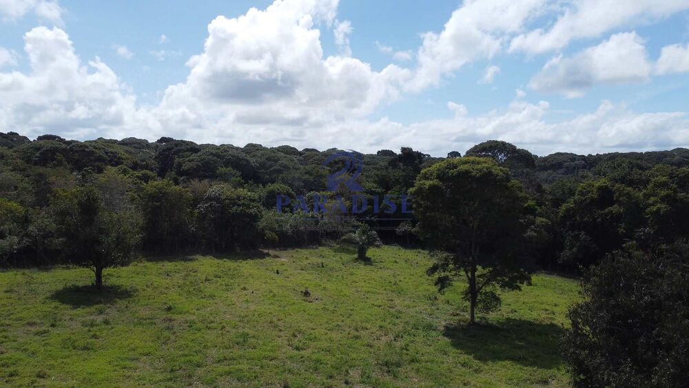 Fazenda, 16 hectares - Foto 21