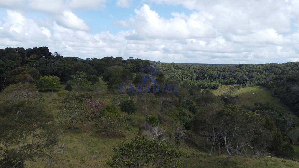 Fazenda, 16 hectares - Foto 19
