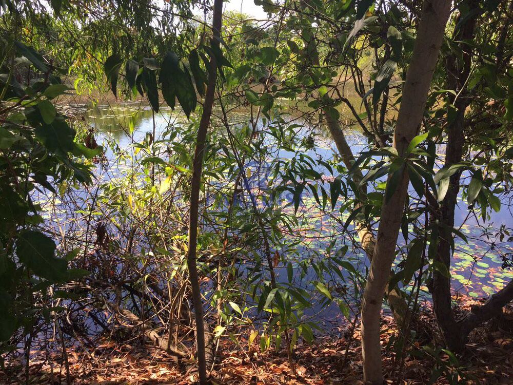 Casa, 4 quartos, 350 m² - Foto 12