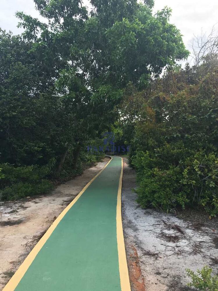 Casa, 4 quartos, 350 m² - Foto 10