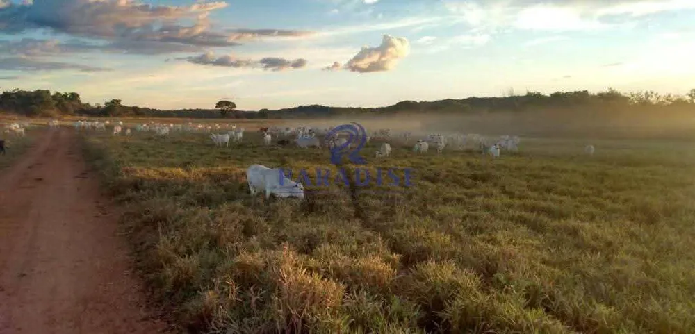 Fazenda, 2 hectares - Foto 3