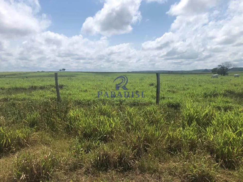 Fazenda, 2 hectares - Foto 7