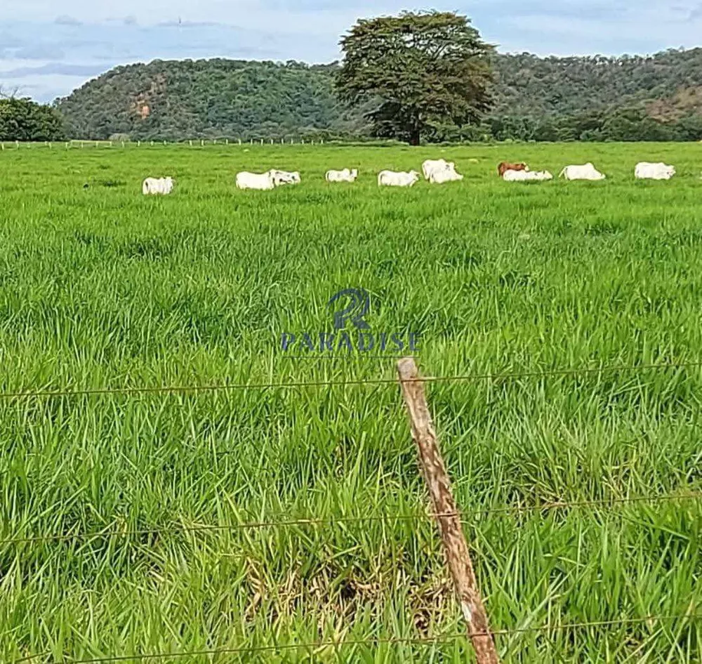 Fazenda, 2 hectares - Foto 2