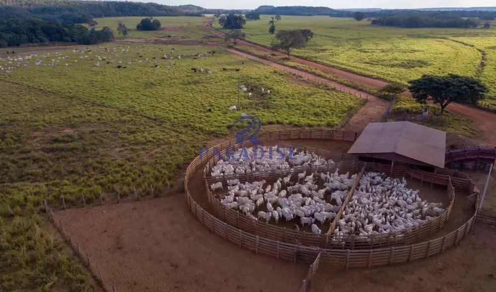 Fazenda, 2 hectares - Foto 8