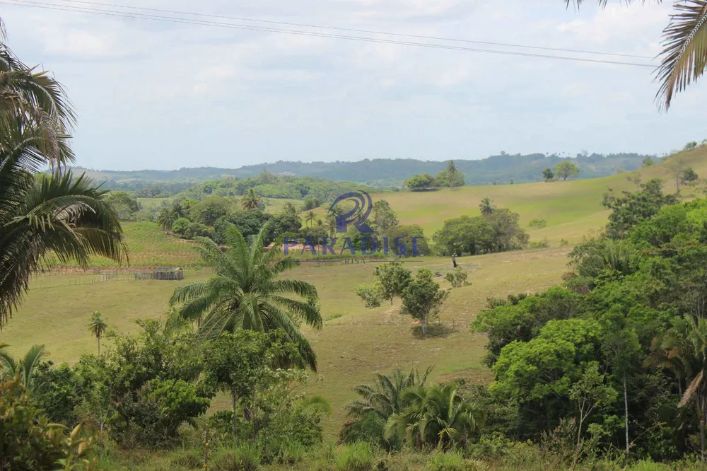Fazenda, 20 hectares - Foto 7