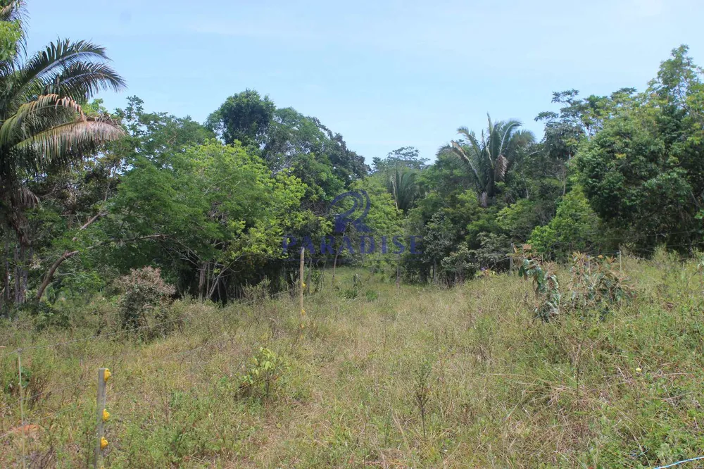 Fazenda, 20 hectares - Foto 3