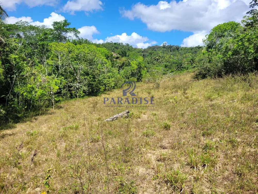 Fazenda, 20 hectares - Foto 6