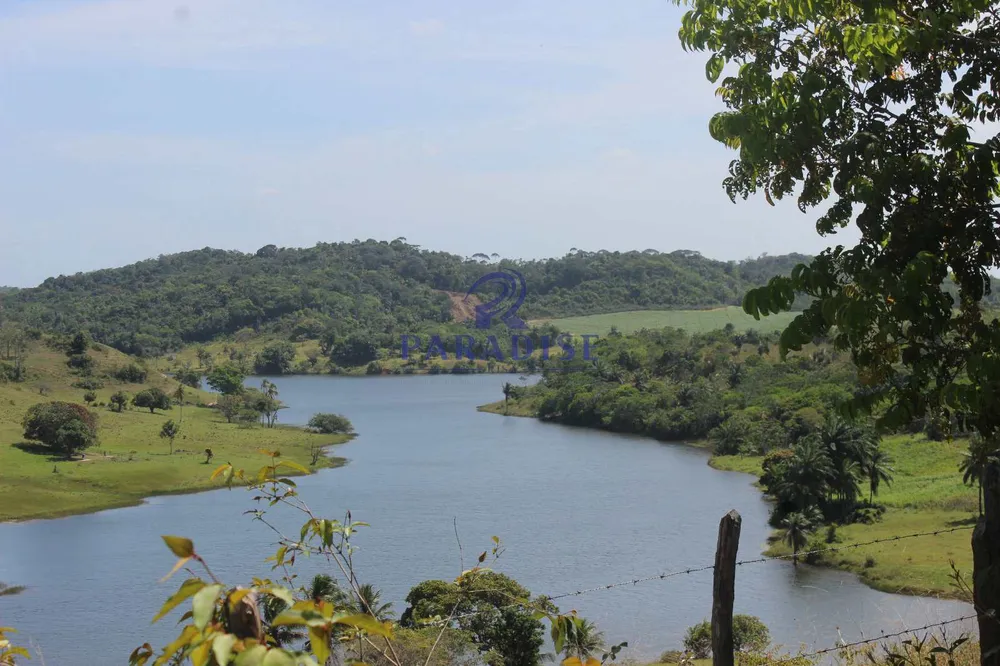 Fazenda, 20 hectares - Foto 1