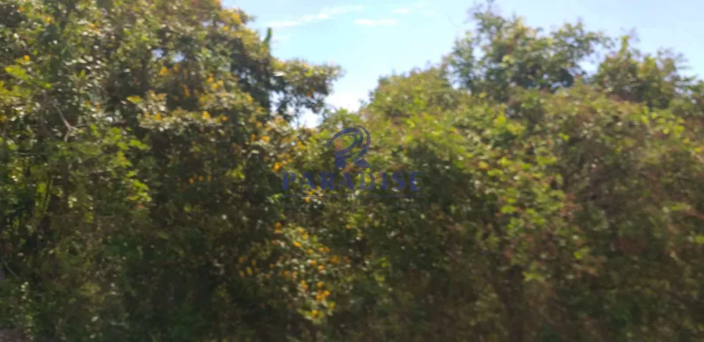 Terreno, 42 hectares - Foto 11