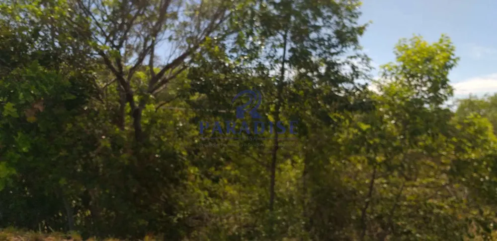 Terreno, 42 hectares - Foto 6