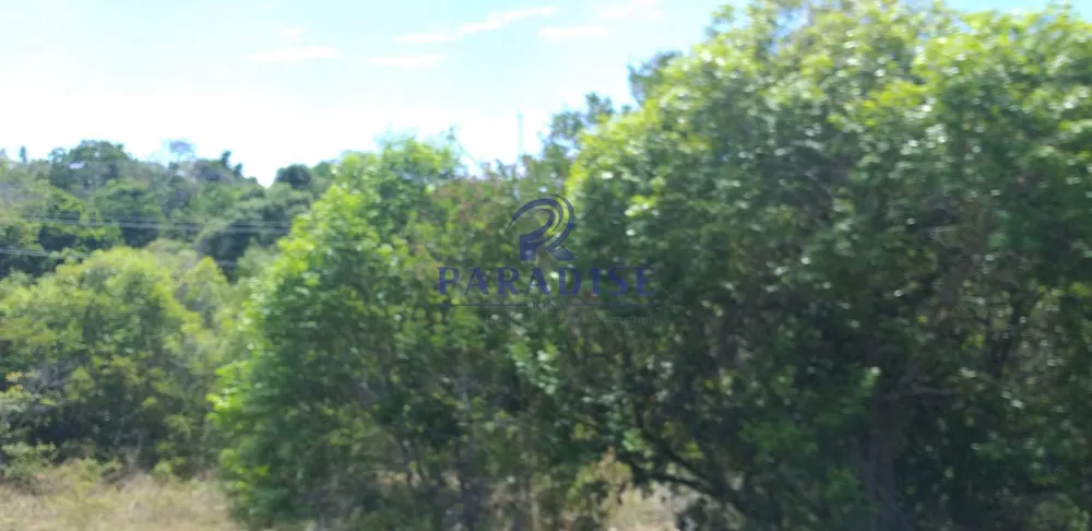 Terreno, 42 hectares - Foto 7