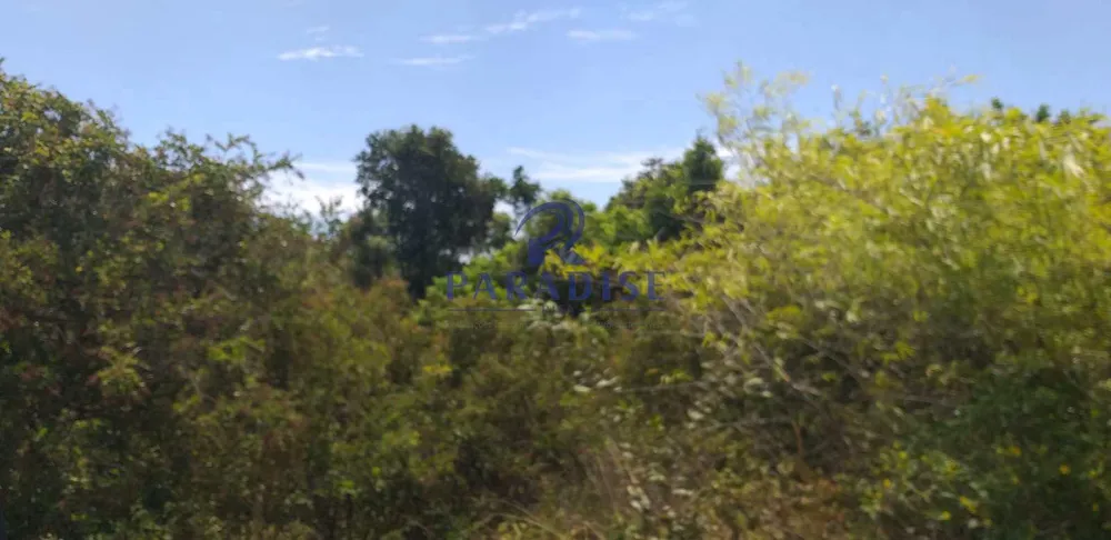 Terreno, 42 hectares - Foto 14
