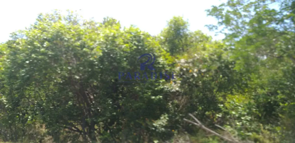 Terreno, 42 hectares - Foto 9
