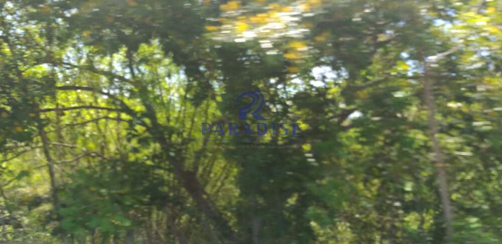 Terreno, 42 hectares - Foto 5