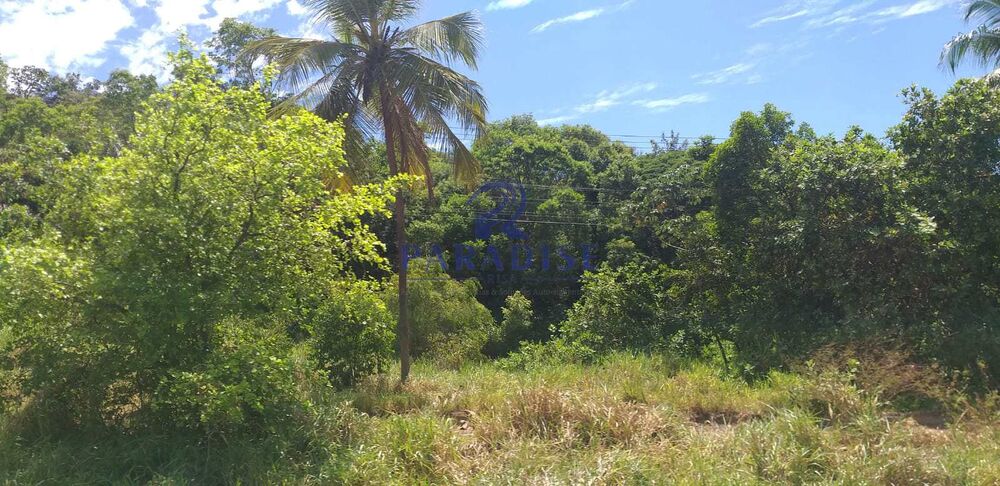 Terreno, 42 hectares - Foto 8