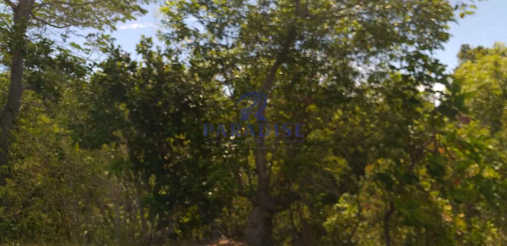 Terreno, 42 hectares - Foto 4