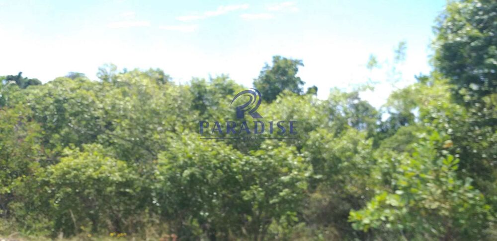 Terreno, 42 hectares - Foto 6