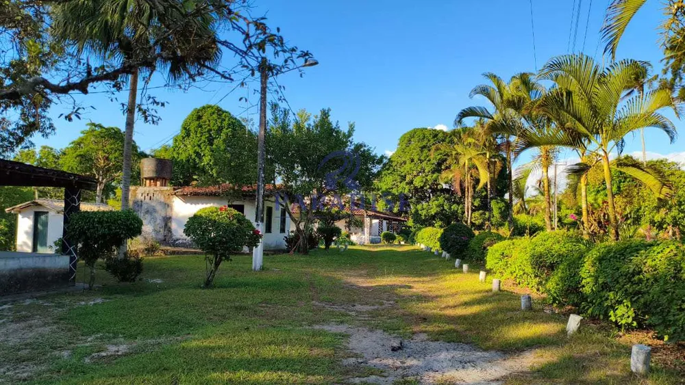 Fazenda, 465 hectares - Foto 3