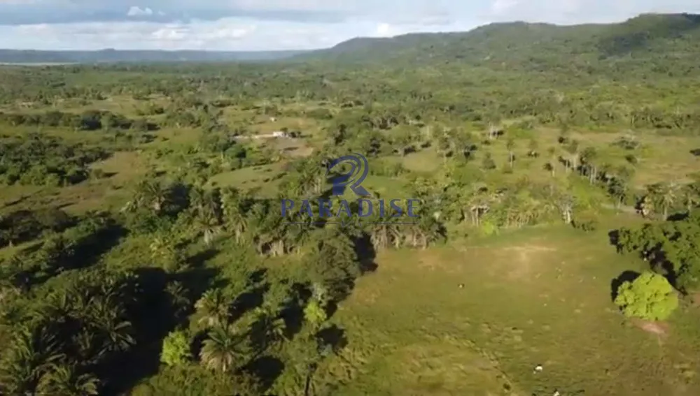 Fazenda, 465 hectares - Foto 6