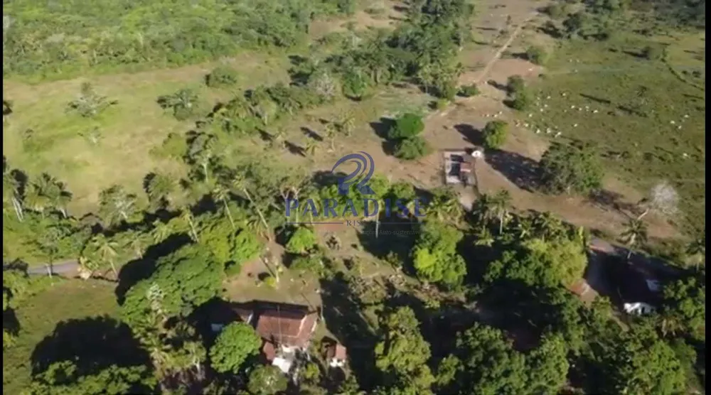 Fazenda, 465 hectares - Foto 7