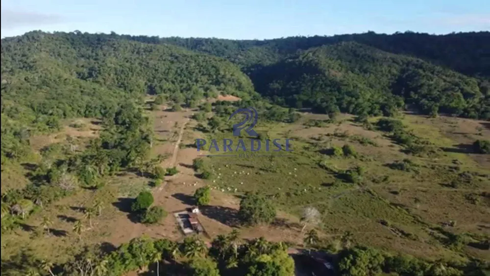 Fazenda, 465 hectares - Foto 8
