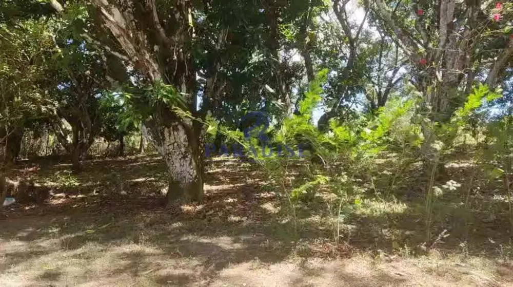 Sítio, 4 quartos, 2640 m² - Foto 8