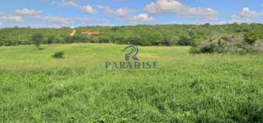 Fazenda, 235 hectares - Foto 5