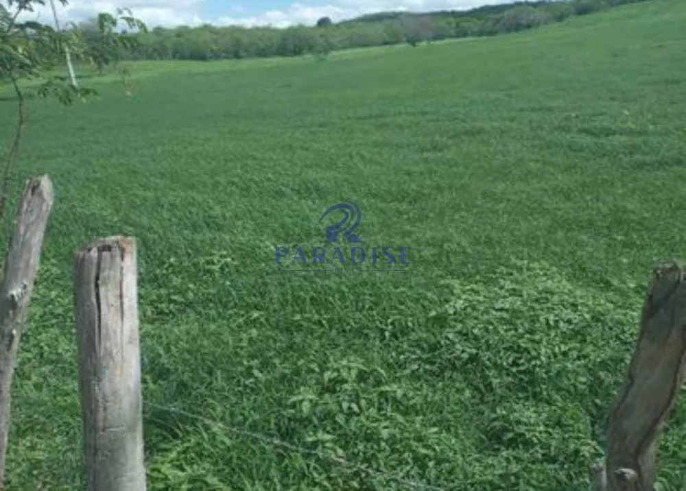 Fazenda, 235 hectares - Foto 4