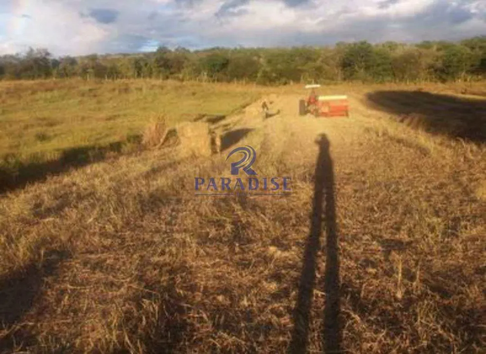 Fazenda, 235 hectares - Foto 6