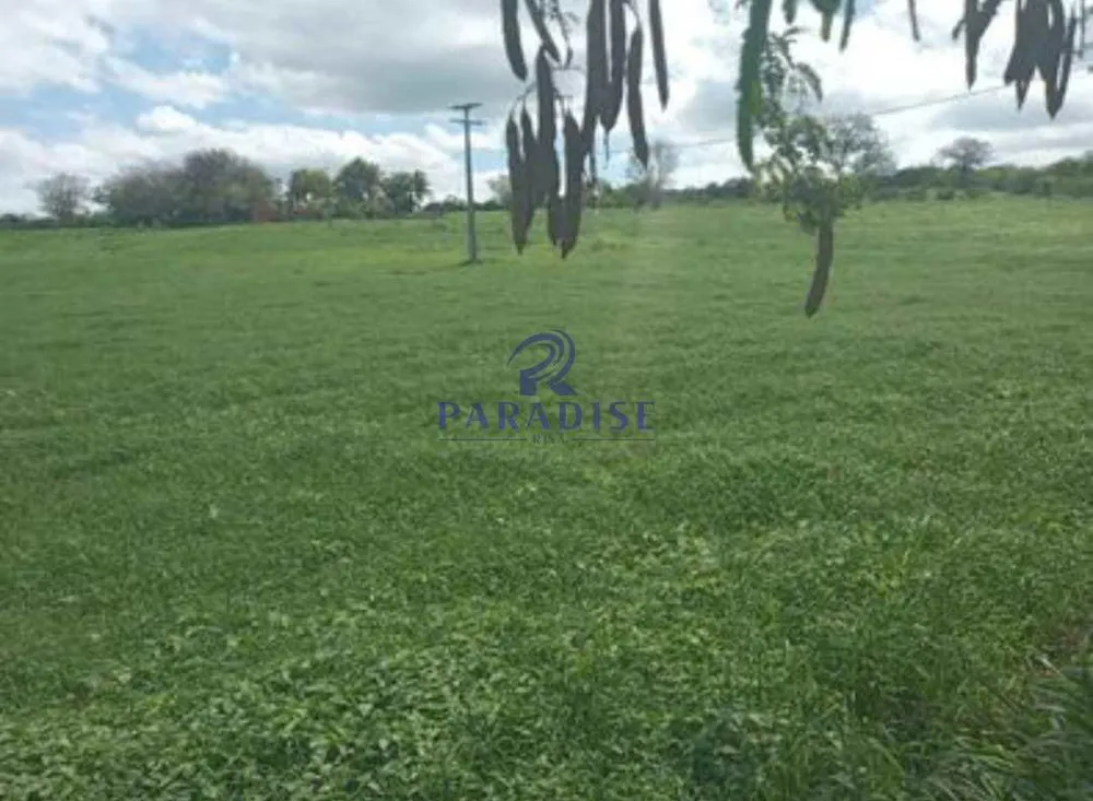 Fazenda, 235 hectares - Foto 2