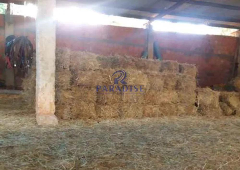 Fazenda, 235 hectares - Foto 7