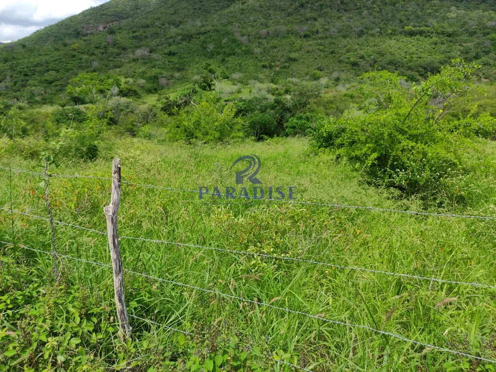 Fazenda, 1013 m² - Foto 7