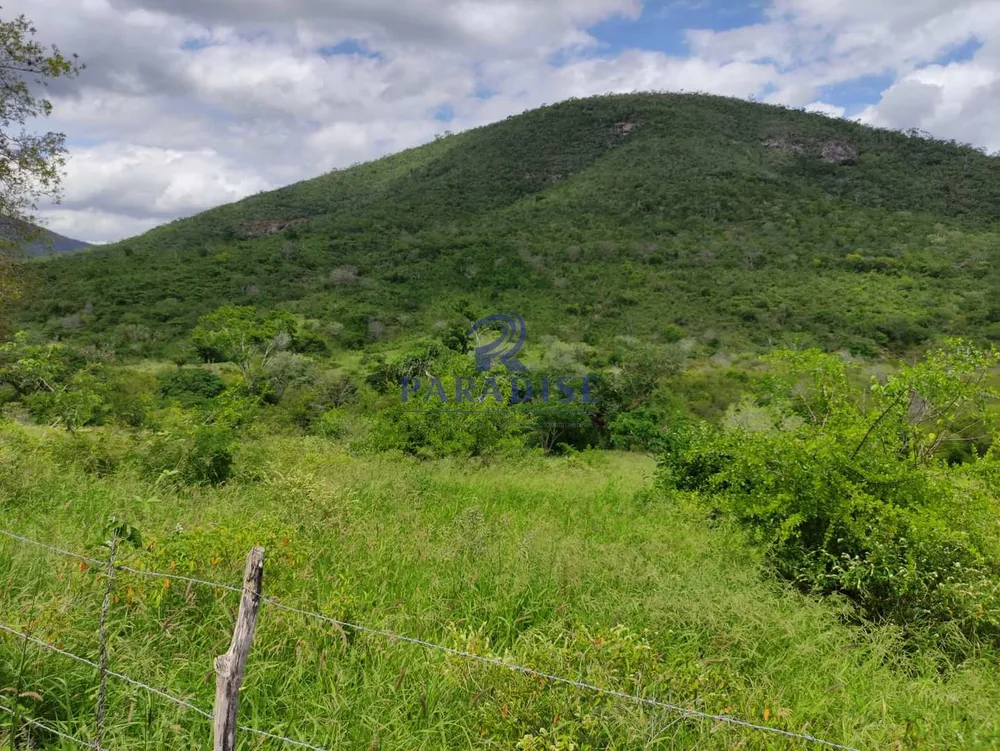 Fazenda, 1013 m² - Foto 6