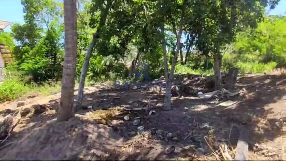 Terreno, 9 hectares - Foto 3