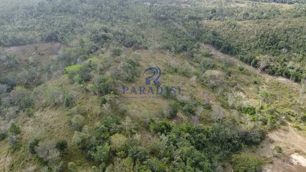 Sítio, 3 quartos, 14 hectares - Foto 15