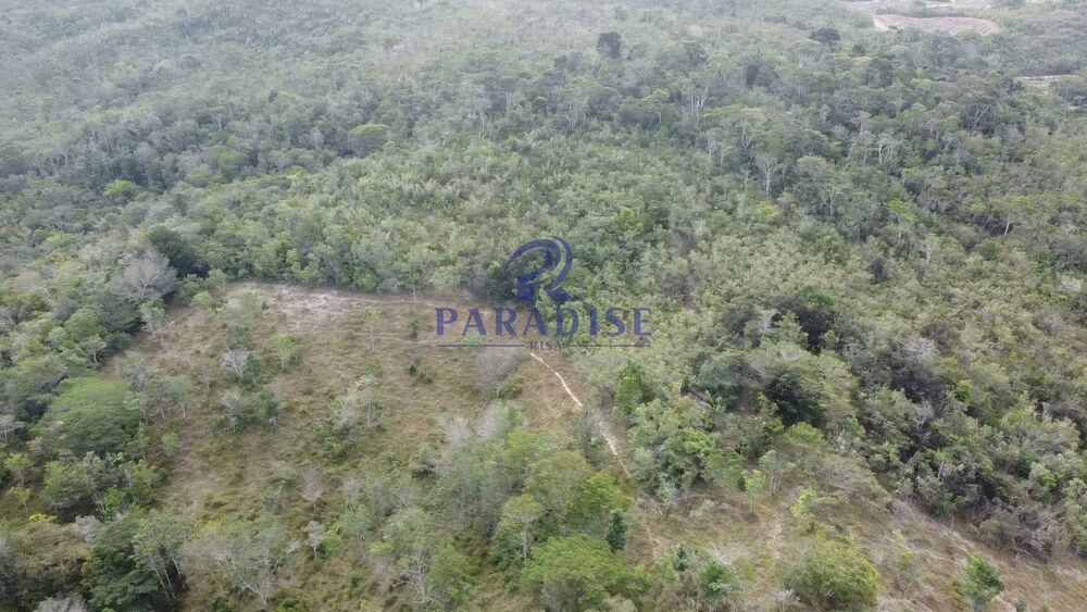 Sítio, 3 quartos, 14 hectares - Foto 18