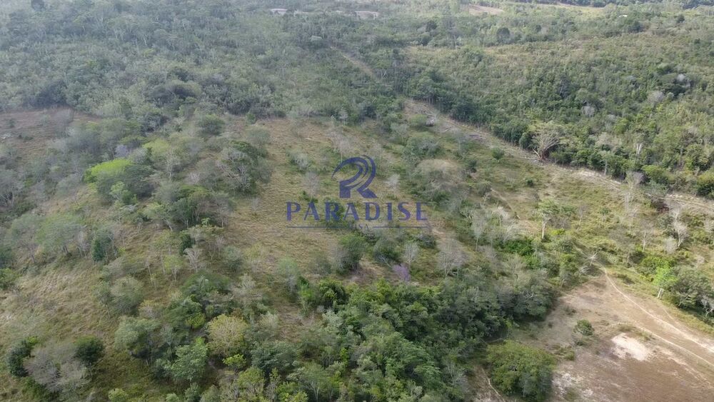 Sítio, 3 quartos, 14 hectares - Foto 14